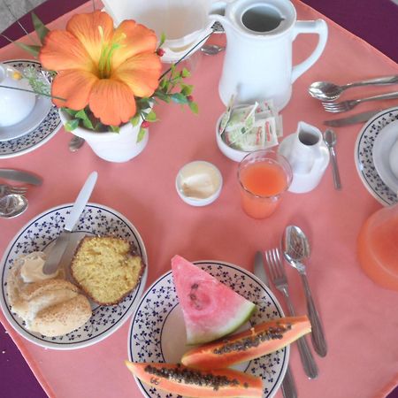 Hotel Pousada Castanheiras Do Village 포르투세구로 외부 사진